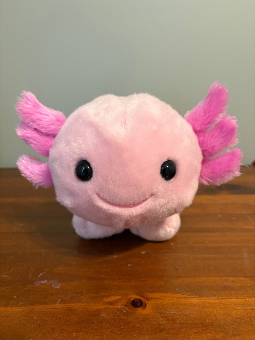 Build-A-Bear 18” Pink Axolotl